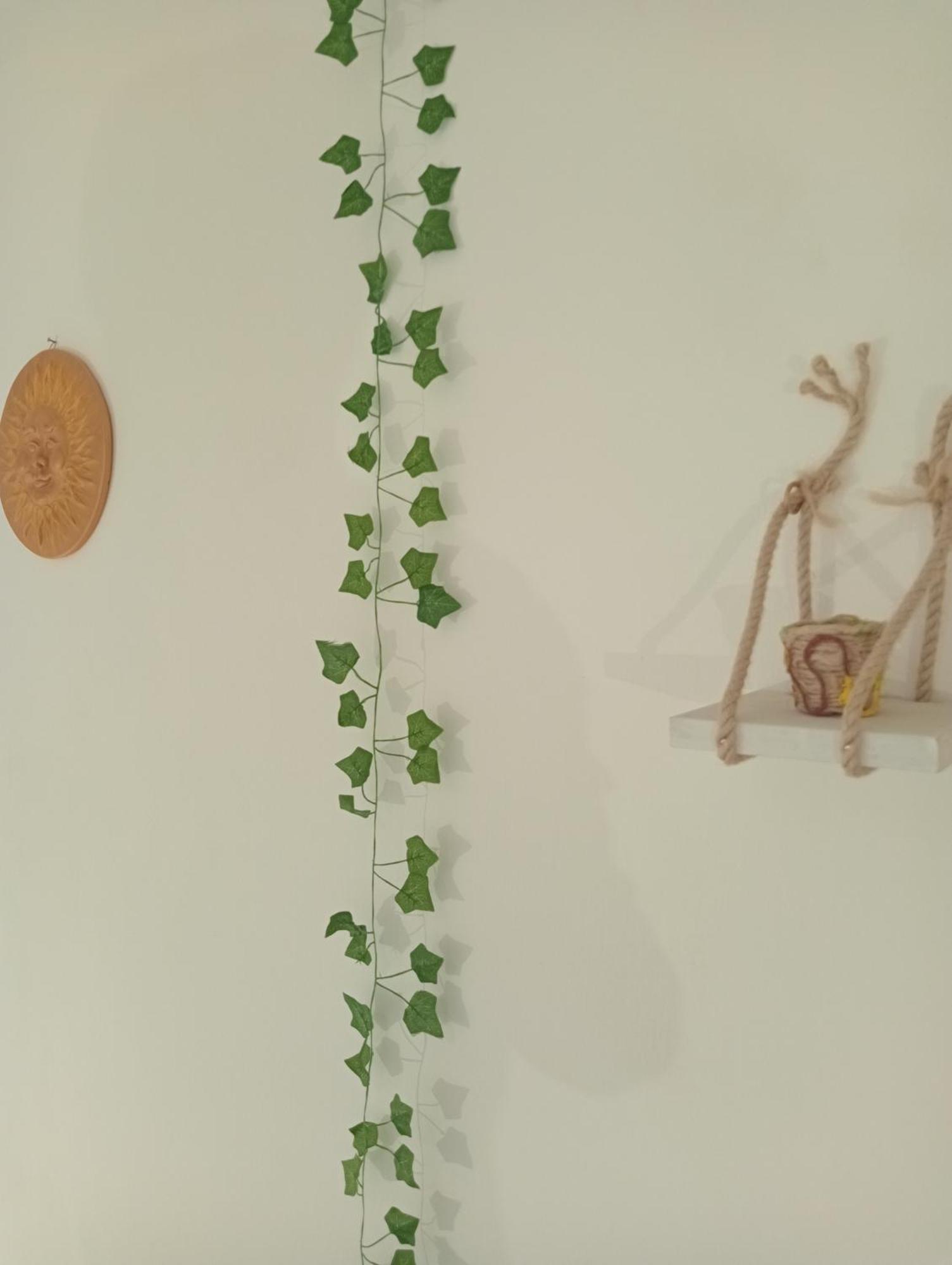 Casa Vacanze I Tre Girasoli "Green House" Калтаджироне Екстериор снимка